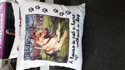 Picture of Dog Cushion