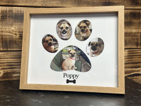 Picture of Dog Photo Frame